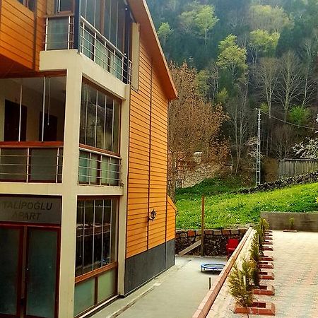 Talipoglu Apart Aparthotel Uzungol Exterior photo